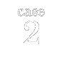 case 2