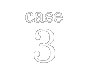 case 3