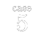 case 5
